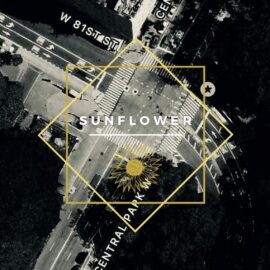 Music Jacket for SUNFLOWER by MrsV displaying an aerial vue of 81st and Centreal Park West Ave in New York City.